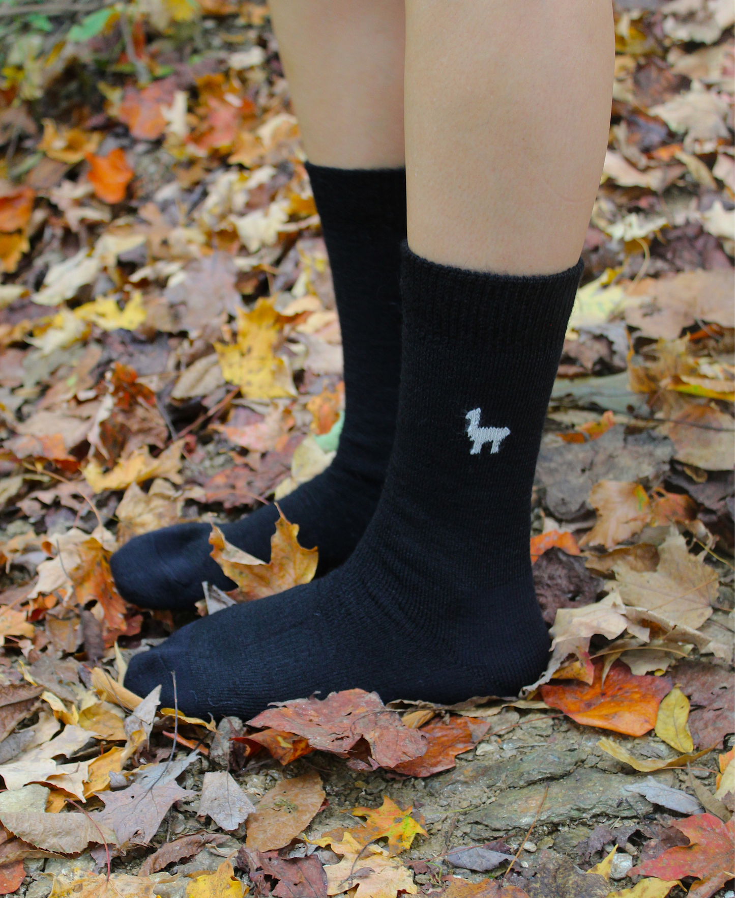 Everyday Alpaca Sock - Black